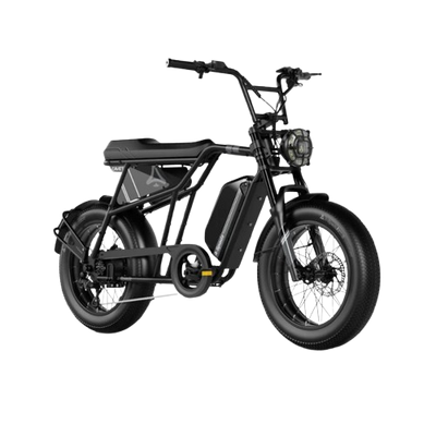 A-Spadz Fatbikes