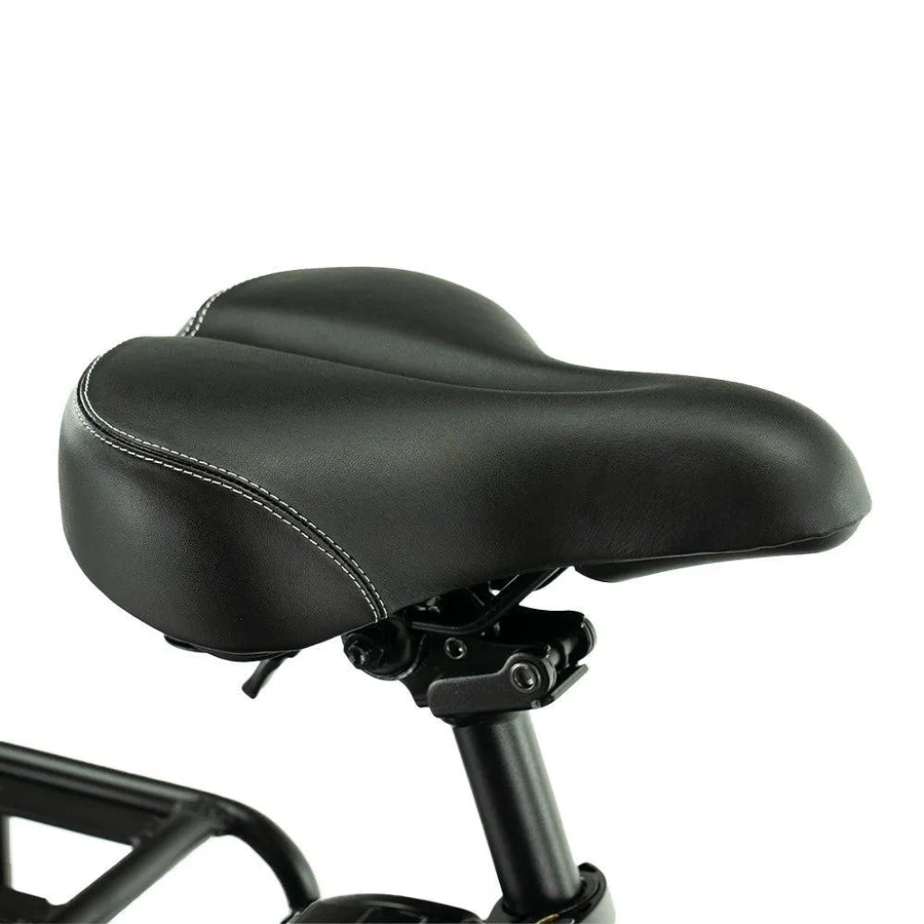 ENGWE L20 Boost - Zwart (incl. gratis voormand)