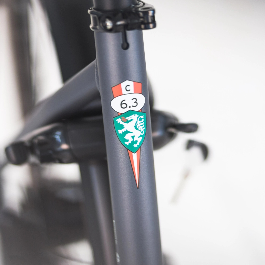 PUCH E-Maxi S+ Active Plus 500 | Matt Antracite