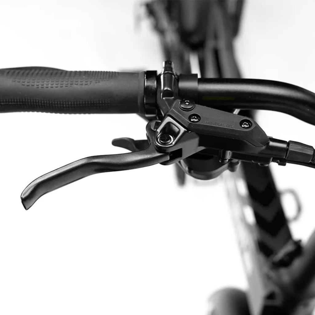 ENGWE Engine Pro 2.0 - Zwart