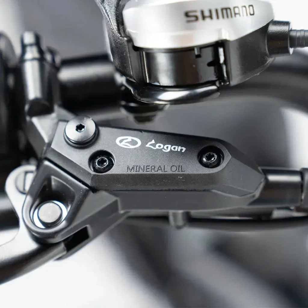 QMWHEEL V20 Pro - Zwart (incl. achterzitje, voorrekje & alarm)