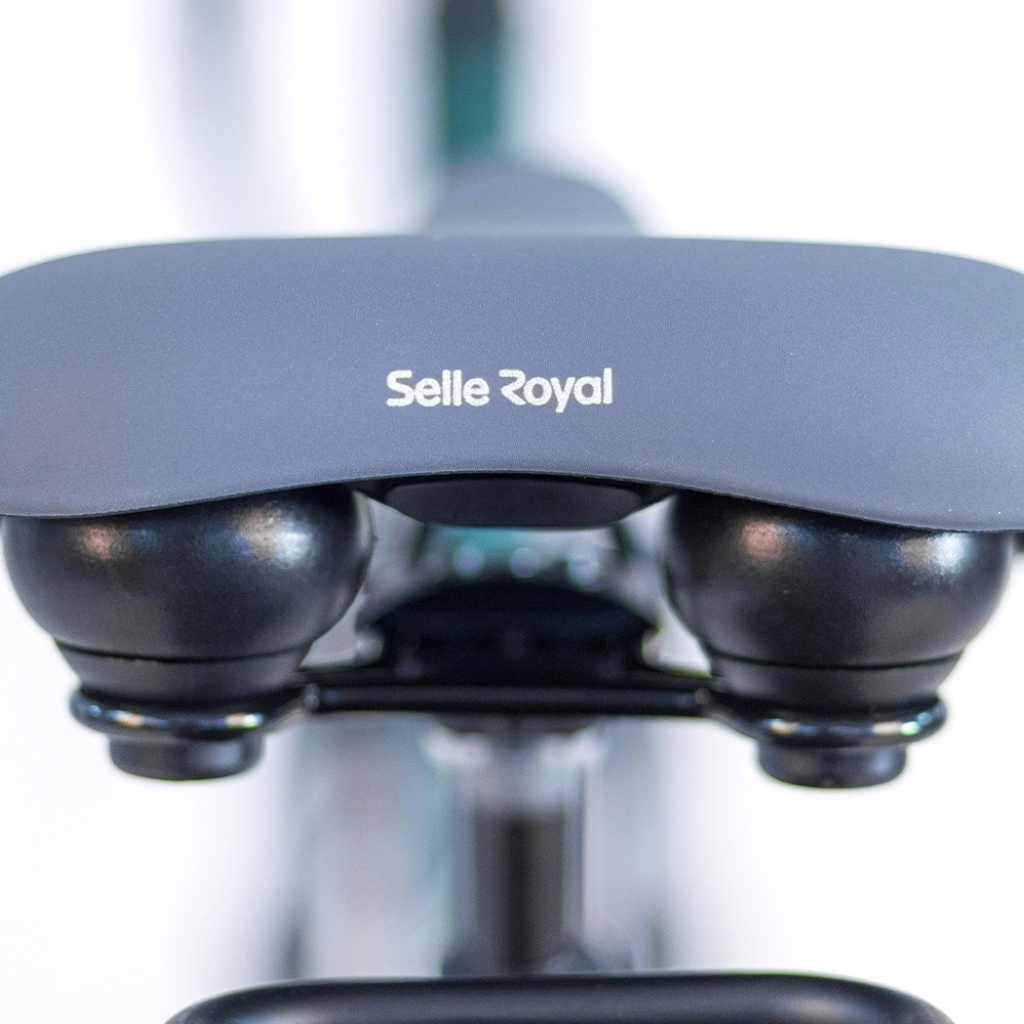 TOMOS EB 07 -  Ponderosa Green Matt