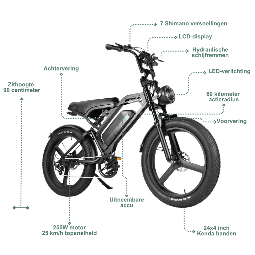 QMWHEEL V20 Max (incl. voetsteuntjes & alarm)